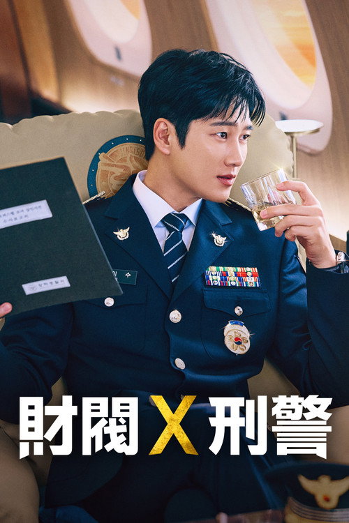 财阀 X 刑警 第2季