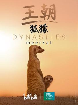 王朝 狐獴特辑